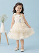 Girls Cream Partywear Frock – Floral Embroidered & Layered Tulle Dress