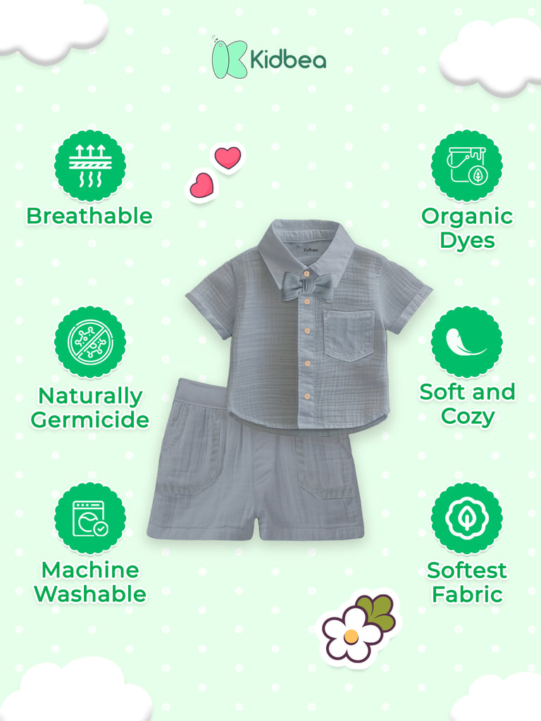 Light Linen Shirt & Pant Grey Co-ord Set