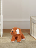 Kidbea Teddy Grey, Dog & Octopus Mood Change Toy, Suitable for Boys, Girls and Kids, Super-Soft, Safe, 30 cm.