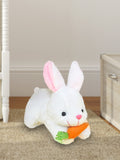 Kidbea Rabbit with Carrot Stuffed Plush Animal