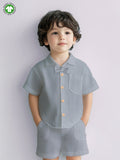 Light Linen Shirt & Pant Grey Co-ord Set
